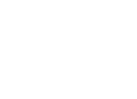 The Lion Inn logo featuring a lion's head, established 2008