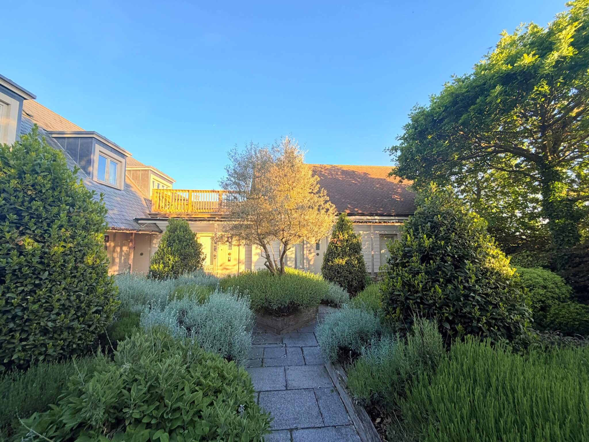 Escape the City: Why Guests Love Our Serene Setting and Comfortable Rooms
