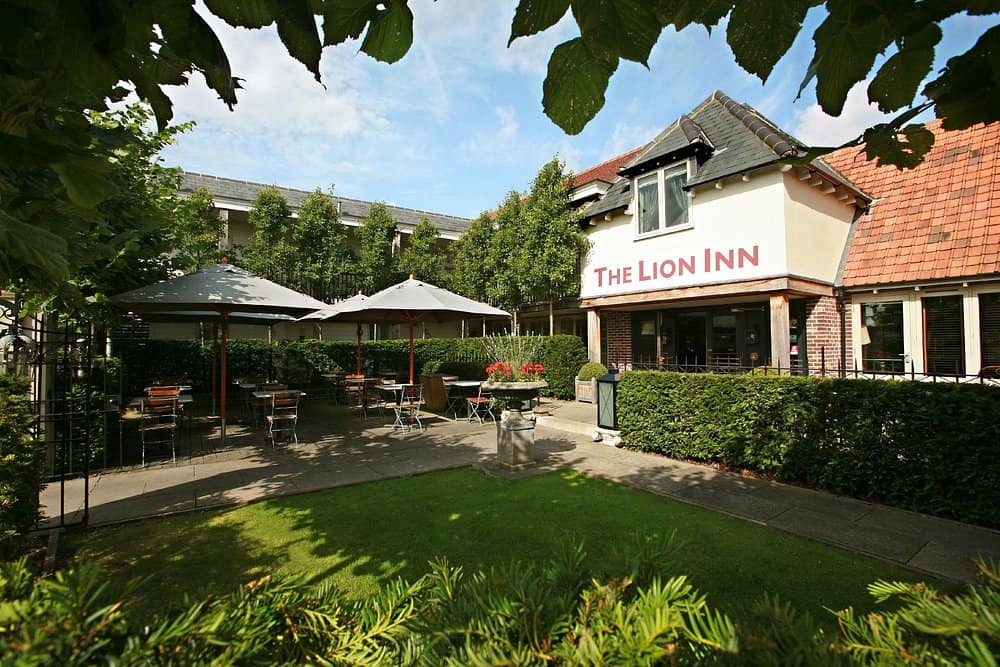 Lion - Boreham in Chelmsford